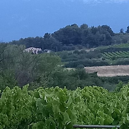 Villa La Pifote à Villes-sur-Auzon Extérieur photo